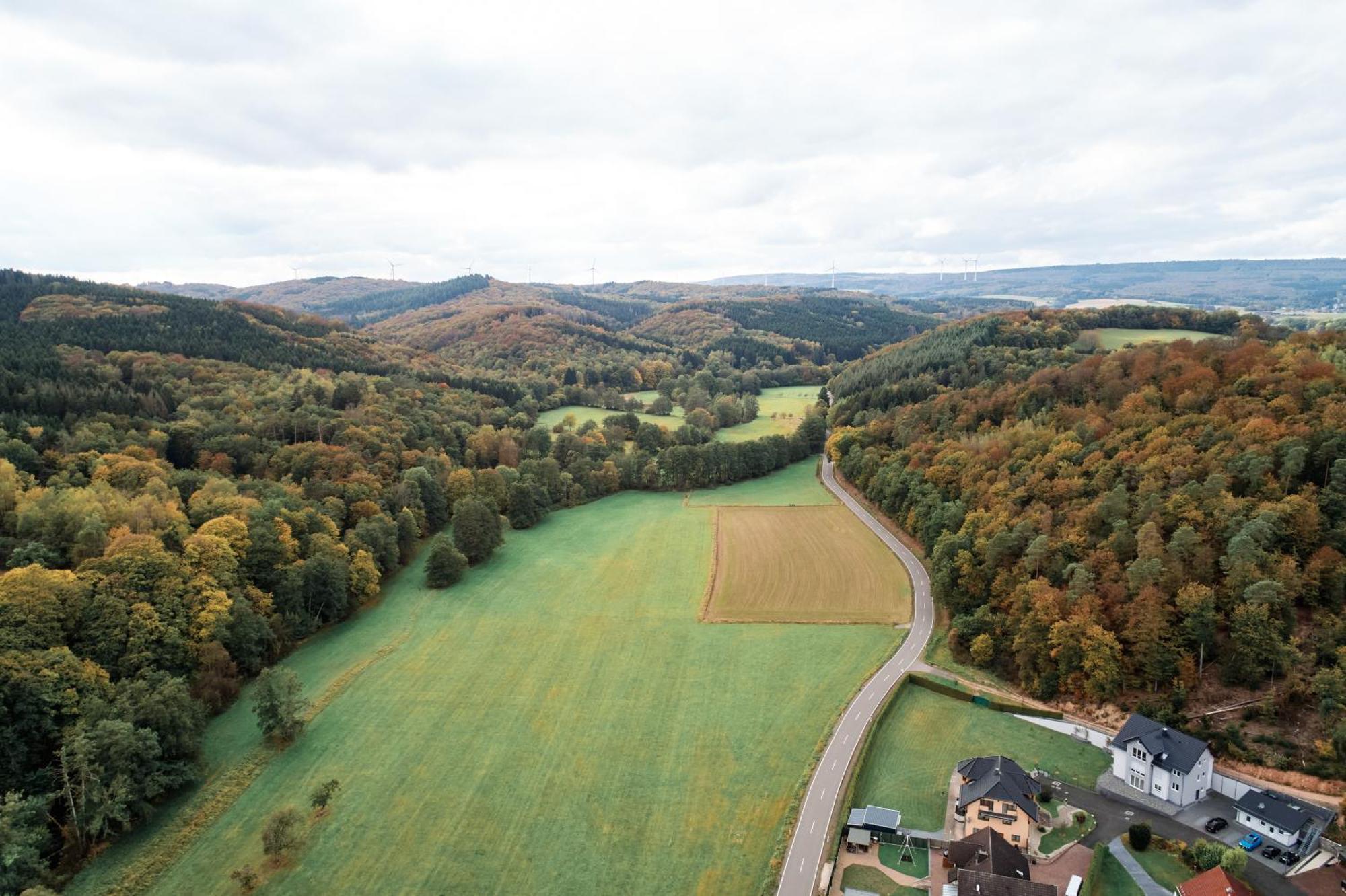118Qm Premium Apartment - Birkenfeld National Park Ellweiler Eksteriør billede